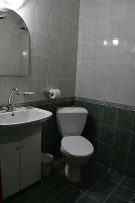 a bathroom with a white toilet and a sink at Family Hotel Bashtina Kashta in Koprivshtitsa