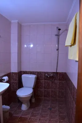 a bathroom with a toilet and a shower at Family Hotel Bashtina Kashta in Koprivshtitsa