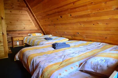 two beds in a room with wooden walls at Borovets Gondola Apartment & Ski by Winter Bros in Borovets