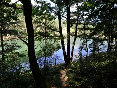 a view of a lake through the trees at Strandzhata's House in Pasarel