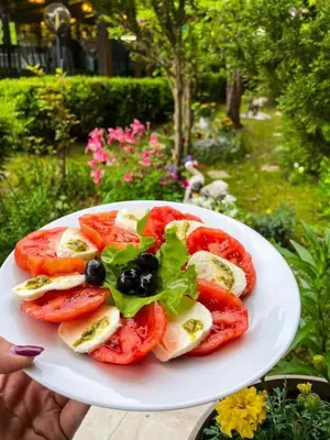 a plate of food with tomatoes and salad on it at Family Hotel Enica in Teteven