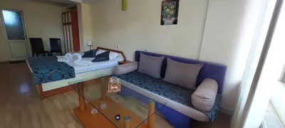 a living room with a couch and a bed at Guest House Planinski Zdravets in Bansko
