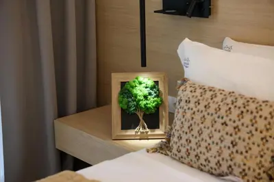 a small green plant in a wooden box on a bed at Hotel Kardinal in Blagoevgrad