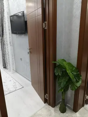 a plant in a vase next to a door with a tv at City Apartments - a brand new luxury & comfy. in Asenovgrad