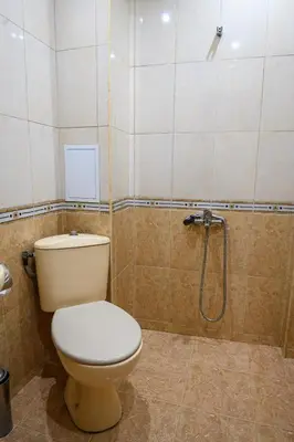 a bathroom with a toilet and a shower at Hotel Saint Nicola in Banya