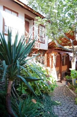 a garden in front of a house with a plant at Family Hotel Ogi in Asenovgrad