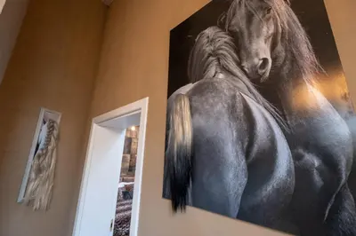 a painting of a horse hanging on a wall at 2-Bedroom Elegant Apartment in Mediterranean Style in Sofia