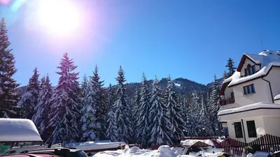 a snow covered forest of trees with a building at TES Rila Park Apartments in Borovets
