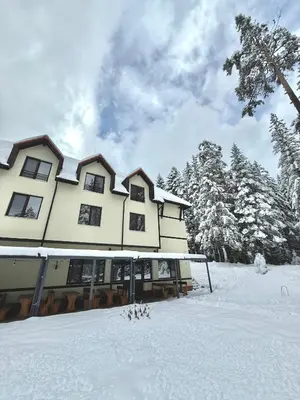 a large building in the snow with trees at Berghof Eva - Hotel in Panichishte