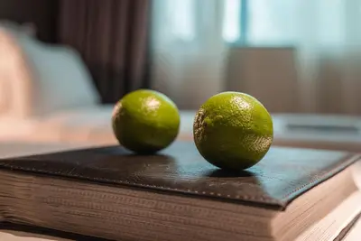 two limes sitting on top of a book at THE STAY Boutique Hotel Central Square - Free Compliments - Free Wi-Fi - TOP LOCATION - Nearby Paid Parking in Plovdiv