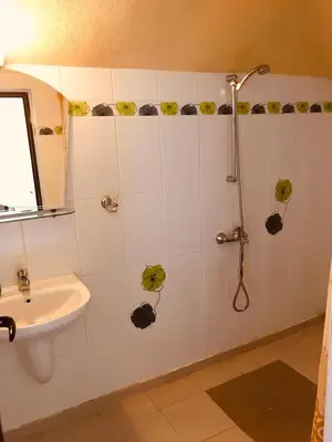 a bathroom with a shower and a sink at Guesthouse Elizabeth in Samokov