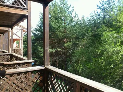 a balcony of a house with trees in the background at Hotel Temenuga in Panichishte