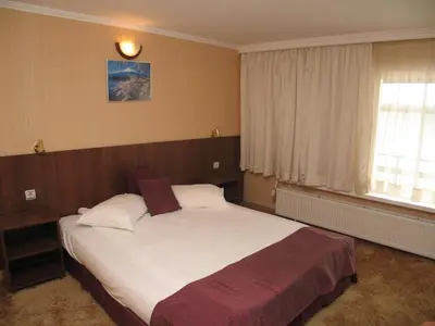 a bedroom with a large bed and a window at Family Hotel Yagoda88 in Sofia