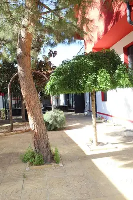 two trees on a sidewalk next to a building at Hotel Color in Asenovgrad