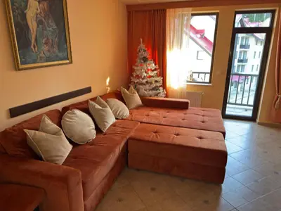 a living room with a brown couch and a christmas tree at Apartment 9 in Pamporovo