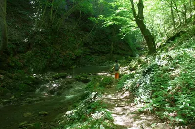 a person walking down a trail next to a stream at Семеен Хотел Вит in Teteven