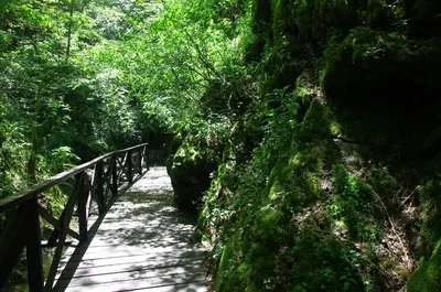 a wooden bridge in the middle of a forest at Семеен Хотел Вит in Teteven