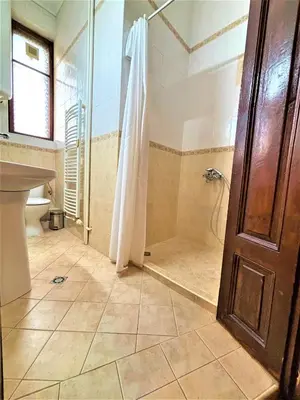 a bathroom with a shower and a sink at L'Opera Guest House in Sofia