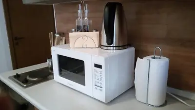 a white microwave sitting on a counter with a blender at Grand Monastery - Studio Rossa in Pamporovo