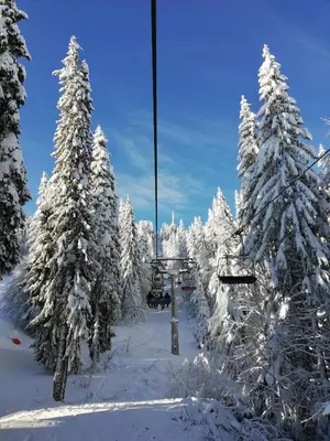 a ski lift covered in snow with snow covered trees at Grand Monastery - Studio Rossa in Pamporovo