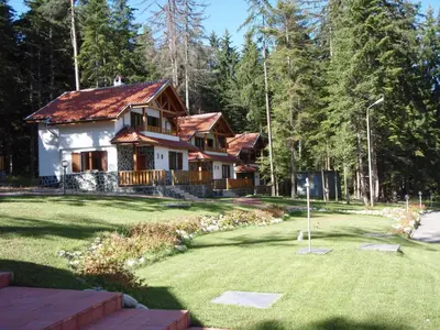 a house in the woods with a yard at Saint George Holiday Village in Borovets