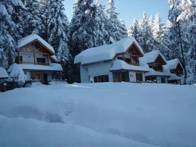 a house covered in snow in front of trees at Saint George Holiday Village in Borovets