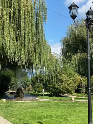 a park with a weeping willow tree and a street light at Yaev Family Hotel in Karlovo