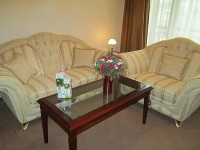 a living room with two couches and a coffee table at Downtown Alexander Services Apartments in Bansko