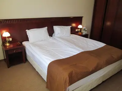 a bedroom with a large bed with white sheets and pillows at Downtown Alexander Services Apartments in Bansko