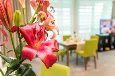 a vase with a red flower in a room at Earth & People Hotel & SPA - Free Parking & Swimming Pool in Sofia