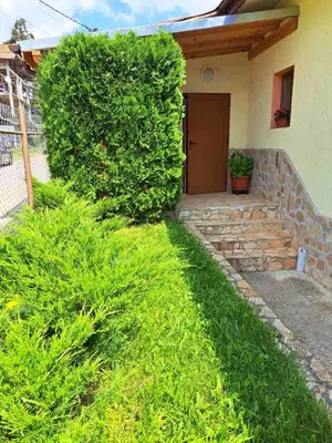 a large green bush next to a house at Vila Katerina in Yundola