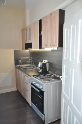 a kitchen with a stove and a sink at Къща за гости Ирис in Kyustendil