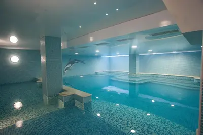 a swimming pool with a dolphin in the middle of it at C Comfort Hotel & Wellness in Hisarya
