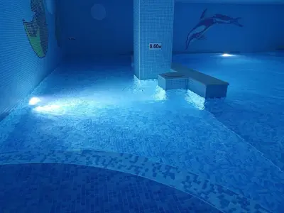 a swimming pool with a dolphin projected on the wall at C Comfort Hotel & Wellness in Hisarya