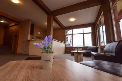 a vase with purple flowers sitting on a wooden table at Elite Spetema Hotel in Sofia