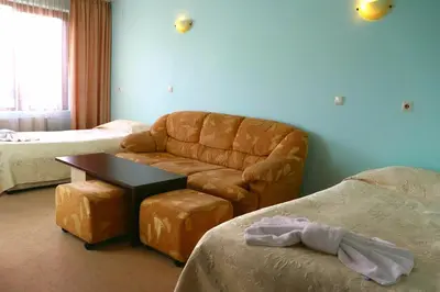 a living room with a leather couch and a table at Family Hotel LILI in Bansko