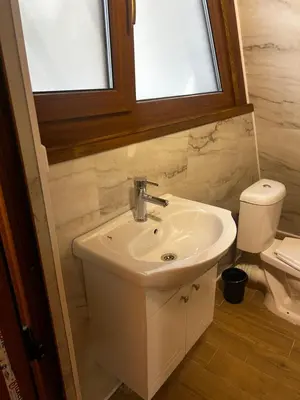 a bathroom with a sink and a toilet at Romantica Forest Guest House in Dospat