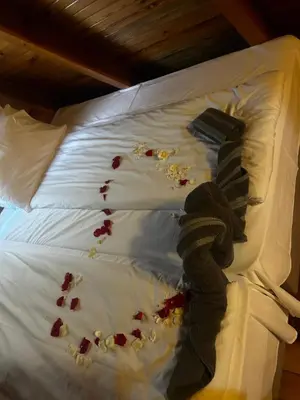 a bed with flower petals on it at Romantica Forest Guest House in Dospat