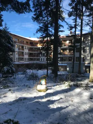 a building in the snow with trees in front at Studios-Villa Park SV in Borovets