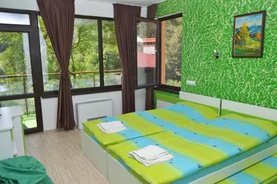 a bedroom with a bed with a green wall at Къща за гости Суни Транс in Smolyan