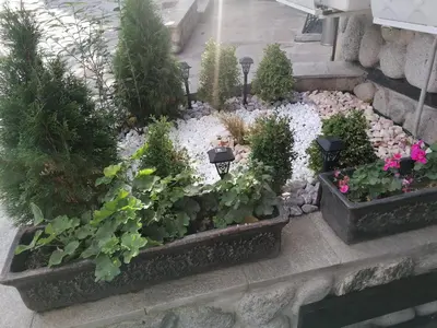 a garden with potted plants and flowers on the stairs at Petkov Family Hotel in Blagoevgrad