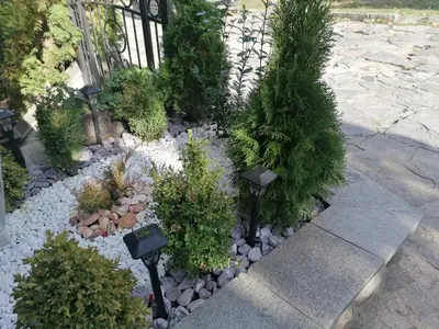 a garden with plants and lights on a sidewalk at Petkov Family Hotel in Blagoevgrad