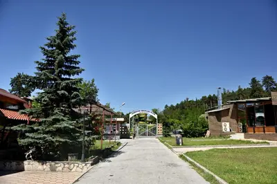 a street with a pine tree next to a building at City Apartments in Velingrad