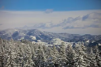 a bunch of snow covered trees with mountains in the background at VIVA Flora apartment 607A in Borovets