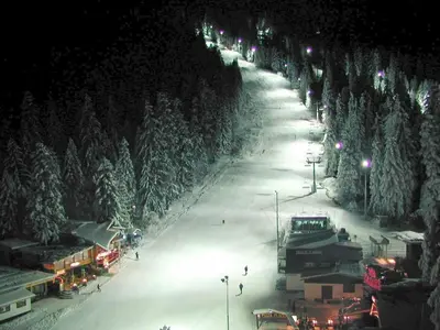 a snowy street at night with trees and lights at VIVA Flora apartment 607A in Borovets