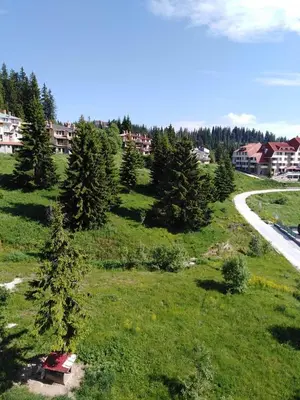 a green field with trees on the side of a road at Ски апартамент, студио Хрис, Лъки Пампорово in Pamporovo