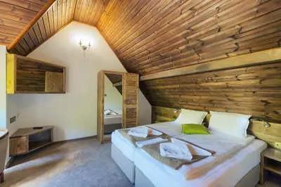 a bedroom with a large bed in a wooden ceiling at Hotel Apostolite in Sandanski