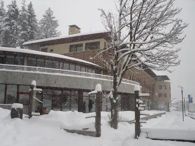 a snow covered building with a tree in front of it at Borika Hotel in Chepelare