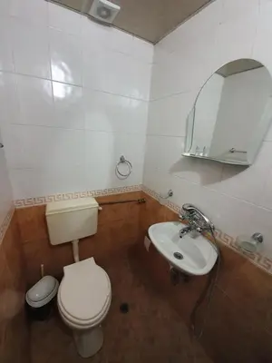 a bathroom with a toilet and a sink and a mirror at Тодор Прегьов in Bansko