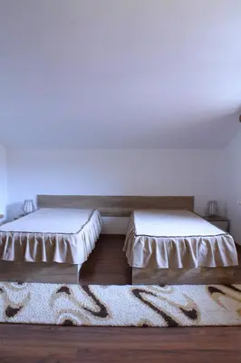 two beds in a room with a rug at стаи за гости Диневи in Kalofer